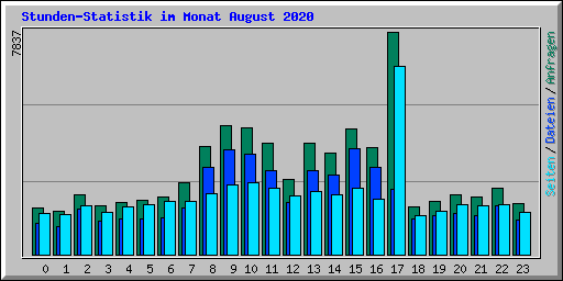 Stunden-Statistik im Monat August 2020