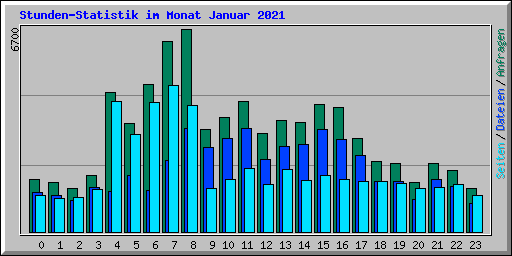 Stunden-Statistik im Monat Januar 2021
